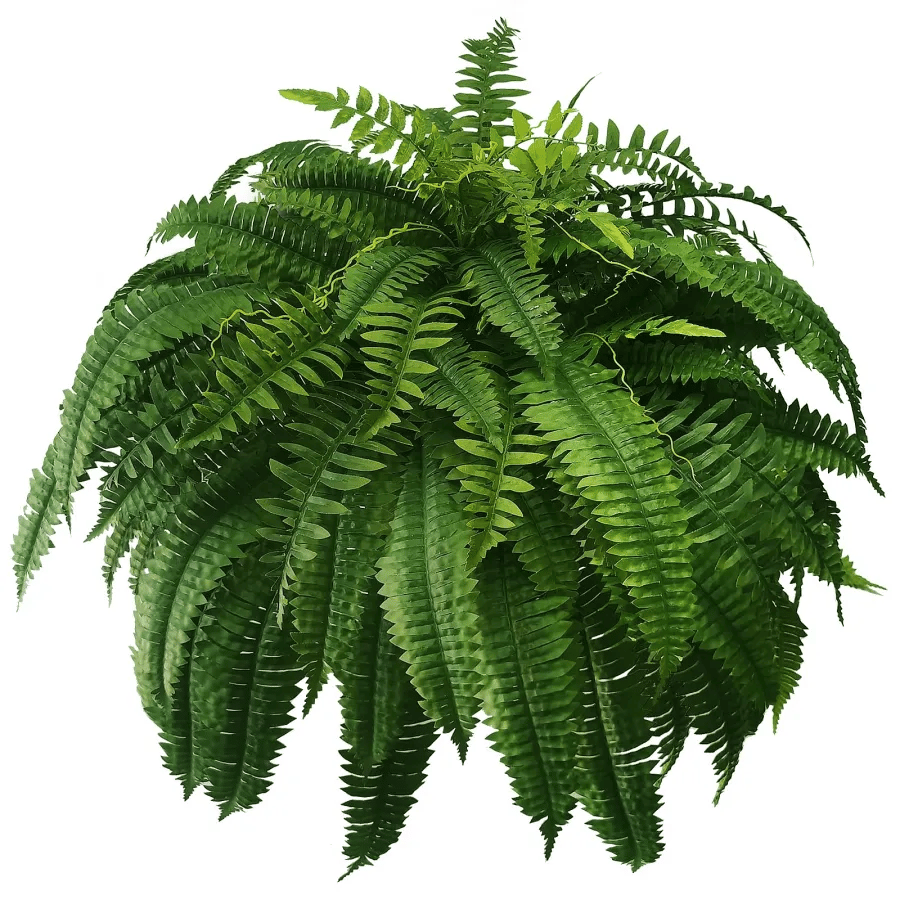 Last Day 75% OFF🔥 -- Lifelike Artificial Boston Fern - UV Resistant