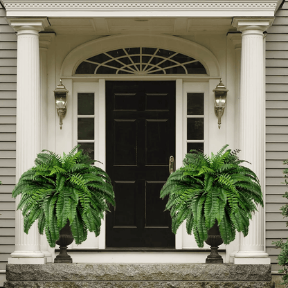 Last Day 75% OFF🔥 -- Lifelike Artificial Boston Fern - UV Resistant