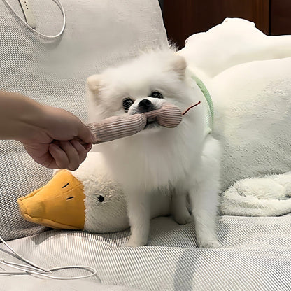 IEY®-Dogs Go Crazy for This Moving Snake Toy