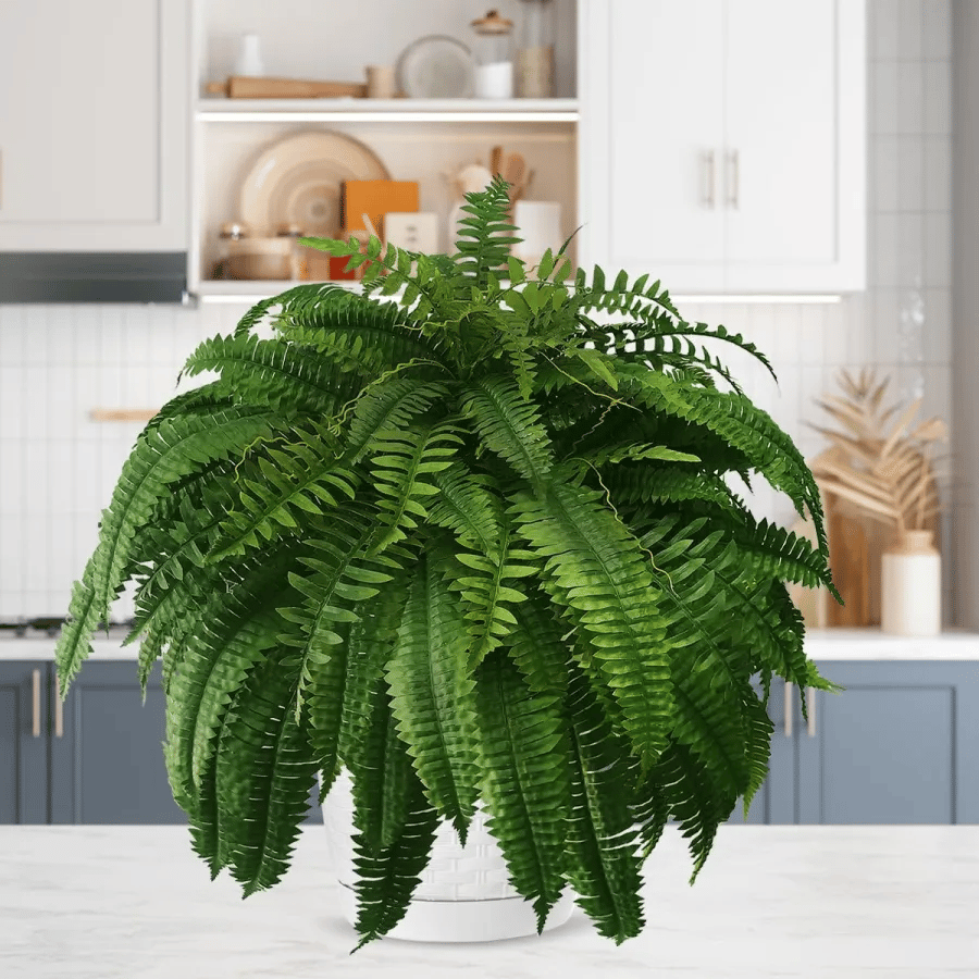 Last Day 75% OFF🔥 -- Lifelike Artificial Boston Fern - UV Resistant