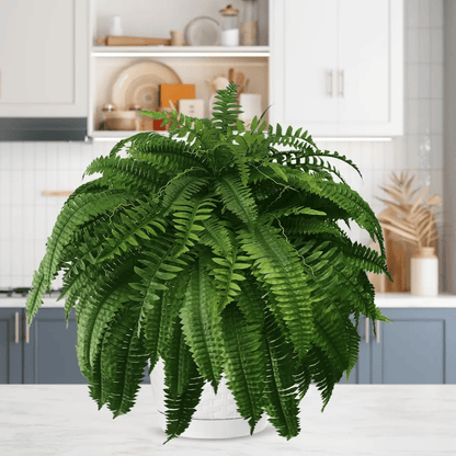 Last Day 75% OFF🔥 -- Lifelike Artificial Boston Fern - UV Resistant