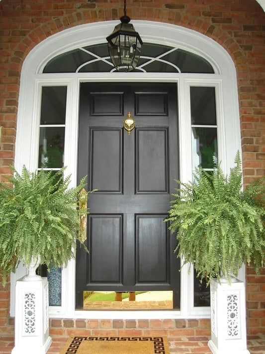 Last Day 75% OFF🔥 -- Lifelike Artificial Boston Fern - UV Resistant