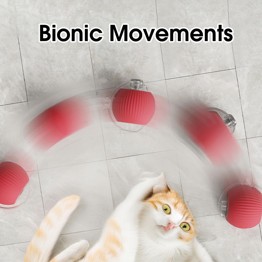 🔥LAST DAY 70% OFF🔥 - Mresio® interactive pet toy ball🐶🐱