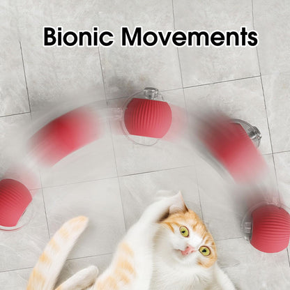 🔥LAST DAY 70% OFF🔥 - Mresio® interactive pet toy ball🐶🐱