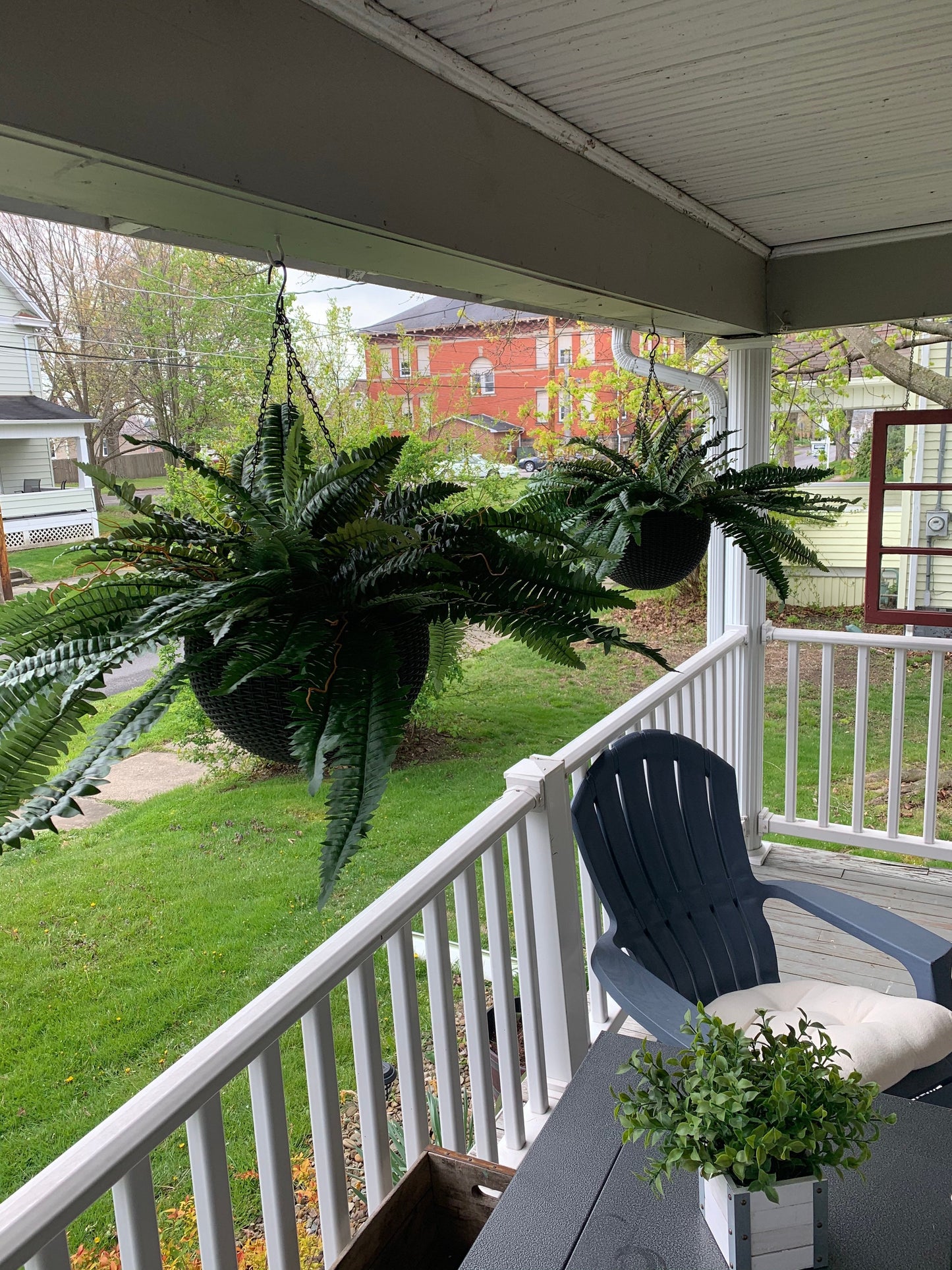 Last Day 75% OFF🔥 -- Lifelike Artificial Boston Fern - UV Resistant