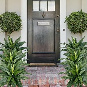 Last Day 75% OFF🔥 -- Lifelike Artificial Boston Fern - UV Resistant