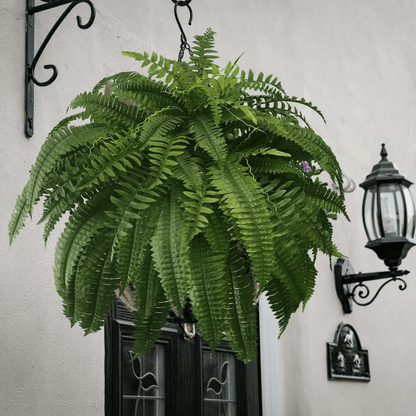 Last Day 75% OFF🔥 -- Lifelike Artificial Boston Fern - UV Resistant