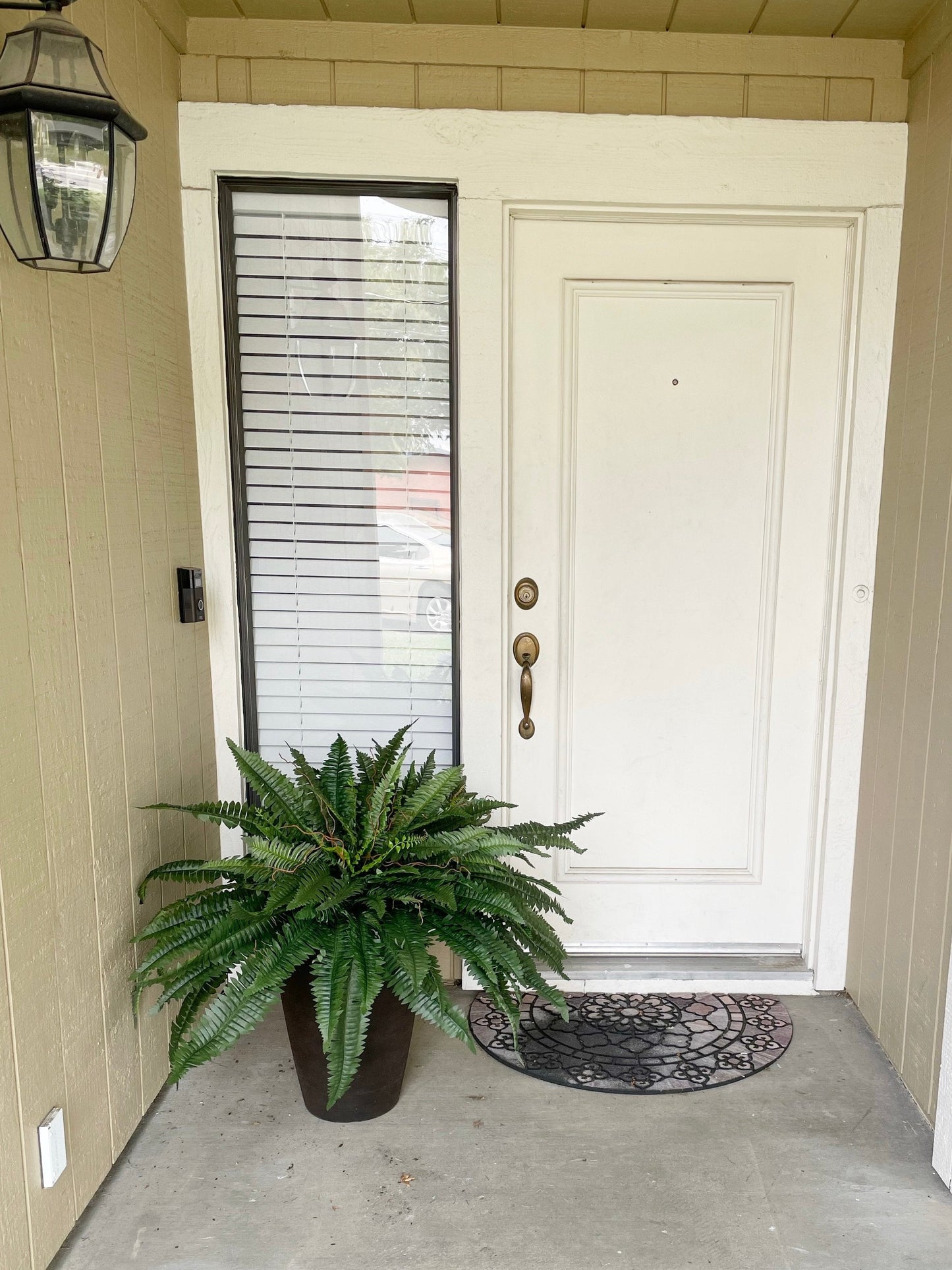 Last Day 75% OFF🔥 -- Lifelike Artificial Boston Fern - UV Resistant