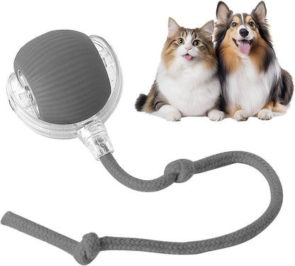 🔥LAST DAY 70% OFF🔥 - Mresio® interactive pet toy ball🐶🐱