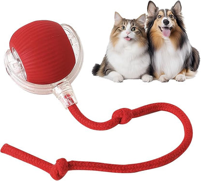 🔥LAST DAY 70% OFF🔥 - Mresio® interactive pet toy ball🐶🐱