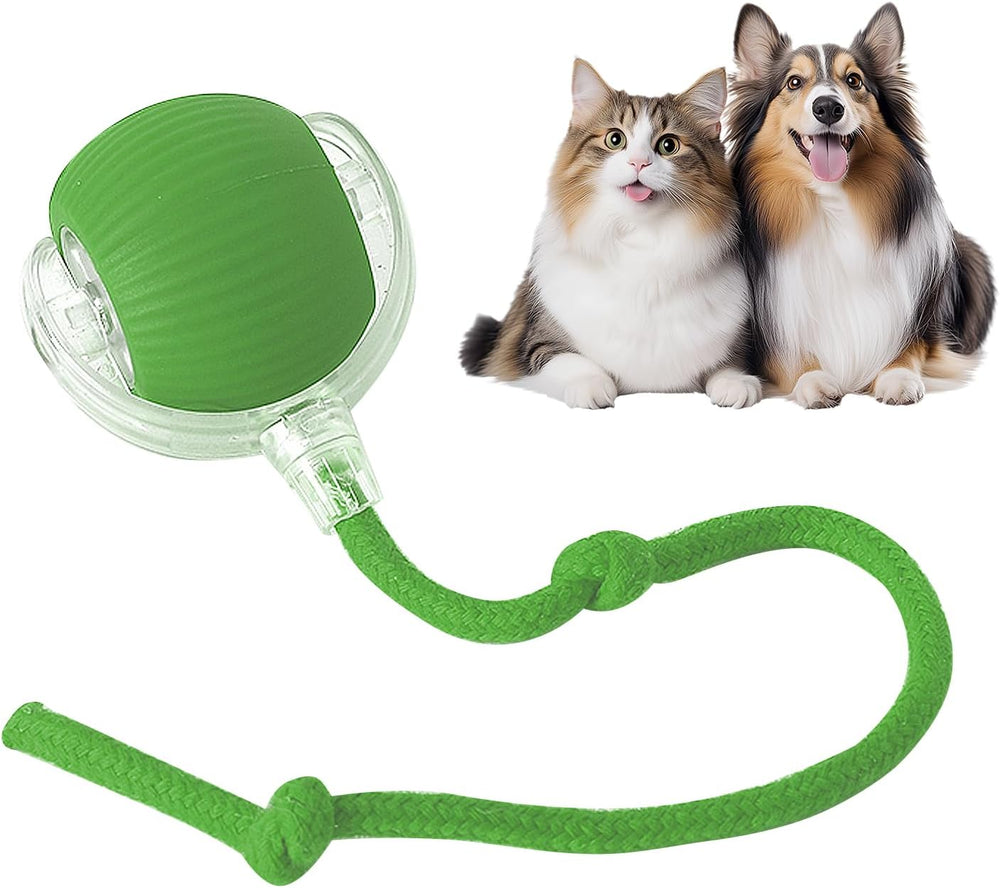 🔥LAST DAY 70% OFF🔥 - Mresio® interactive pet toy ball🐶🐱