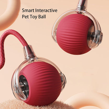 🔥LAST DAY 70% OFF🔥 - Mresio® interactive pet toy ball🐶🐱